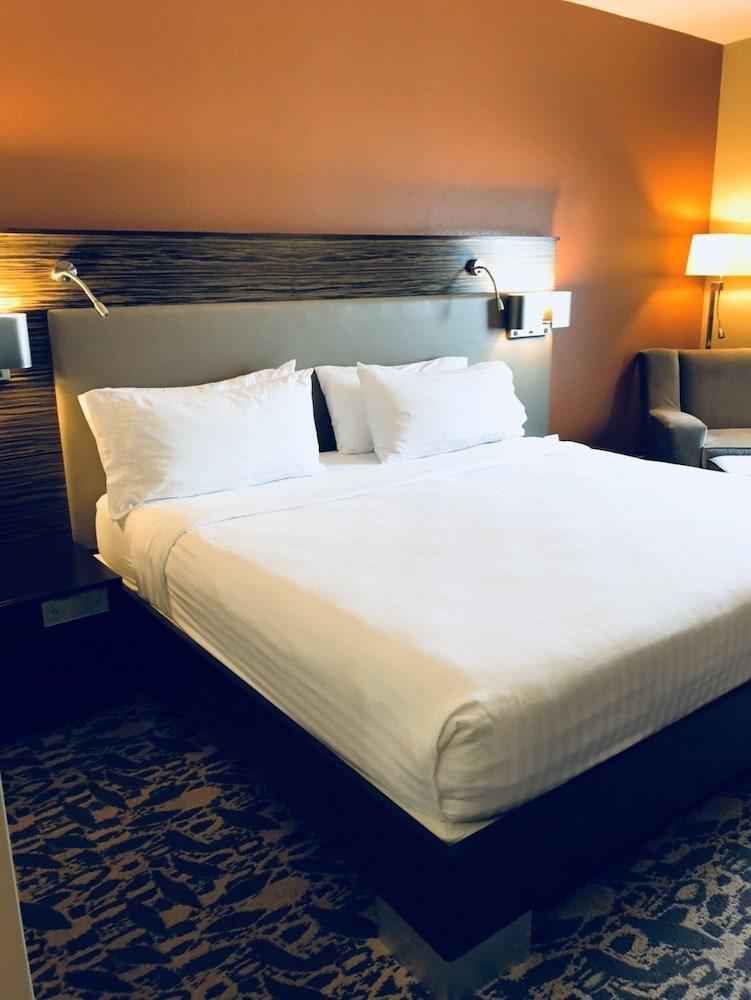 Holiday Inn Express & Suites North Dallas At Preston By Ihg Екстериор снимка